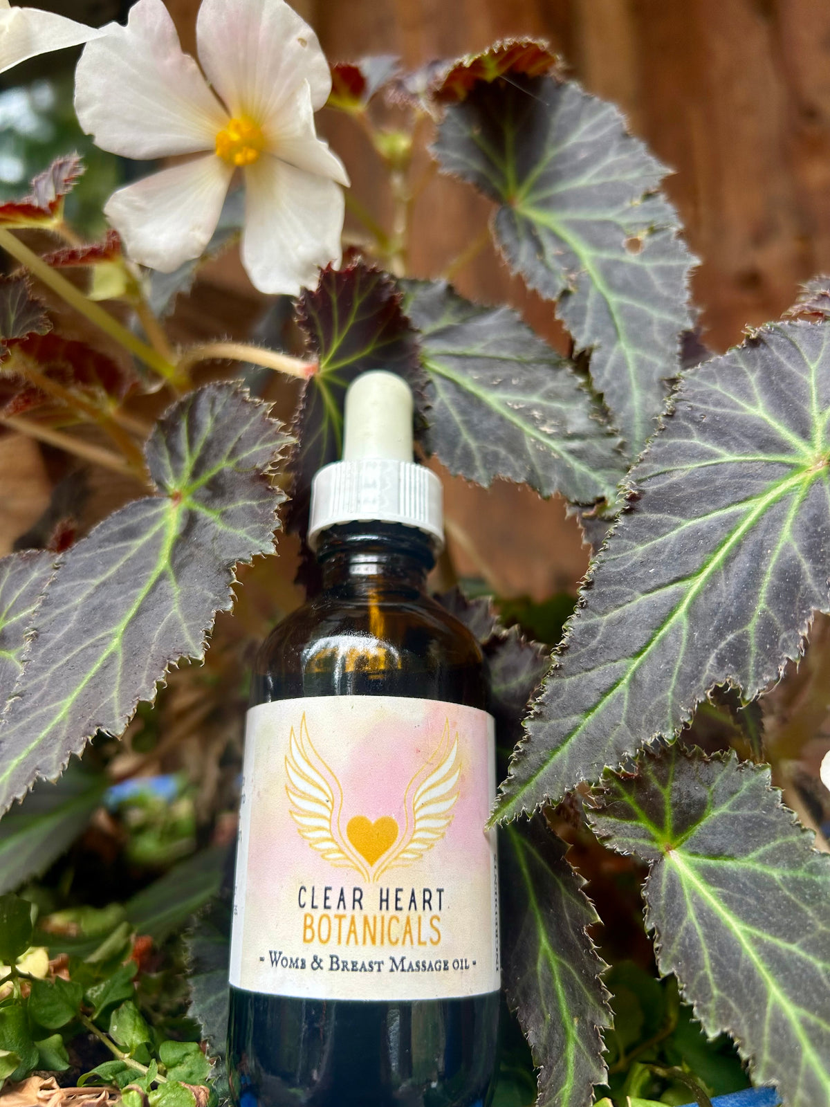 Moon womb and breast massage oil